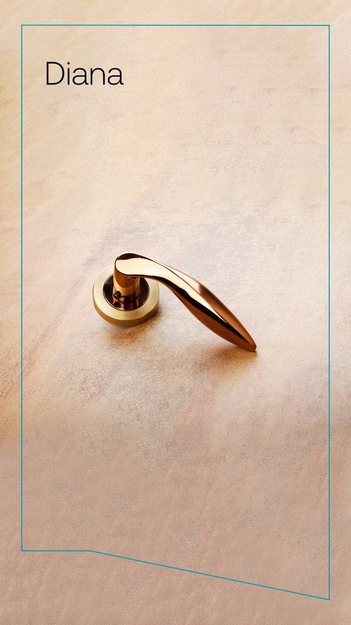 دیانا | Diana - تصویر 6